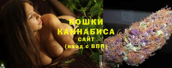 хмурый Протвино