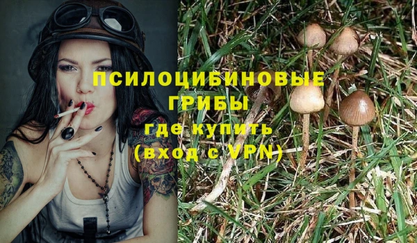 амф Нестеровская